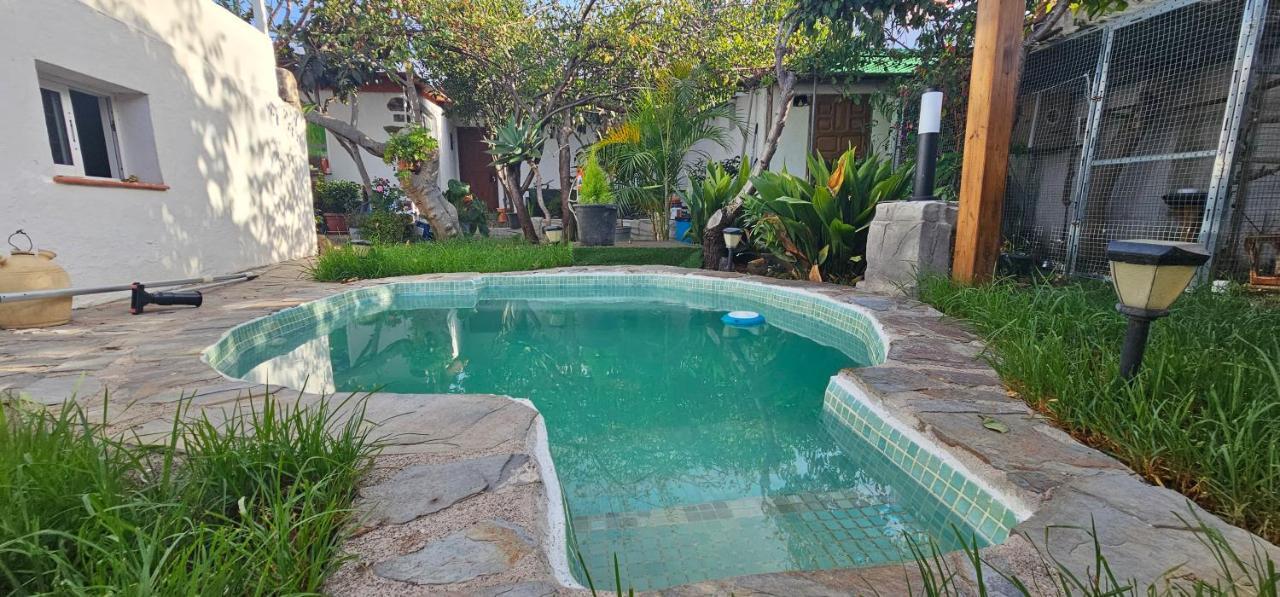 Suite 85, Villa Boutique Privada Con Piscina Icod De Los Vinos Eksteriør billede
