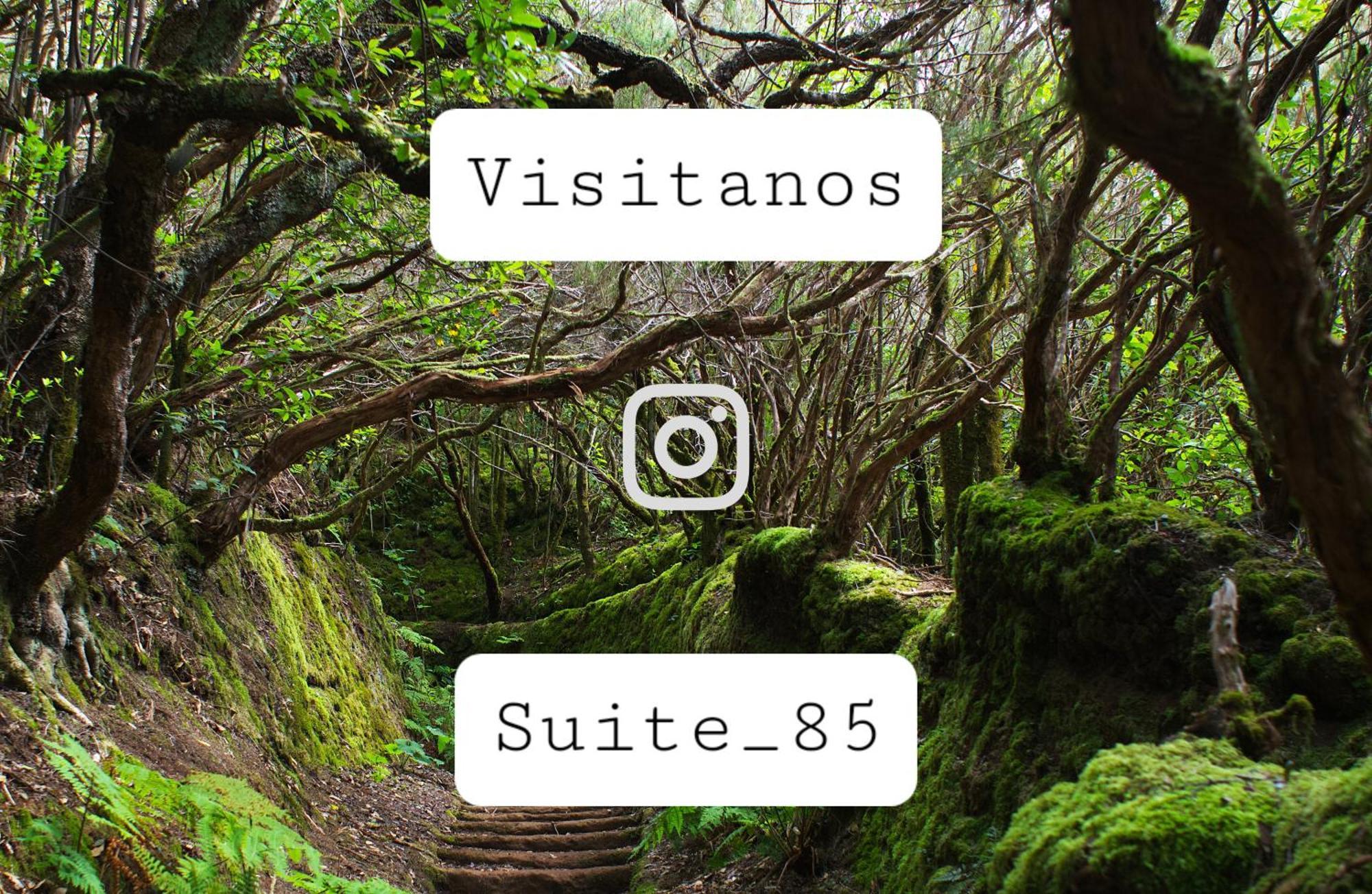 Suite 85, Villa Boutique Privada Con Piscina Icod De Los Vinos Eksteriør billede
