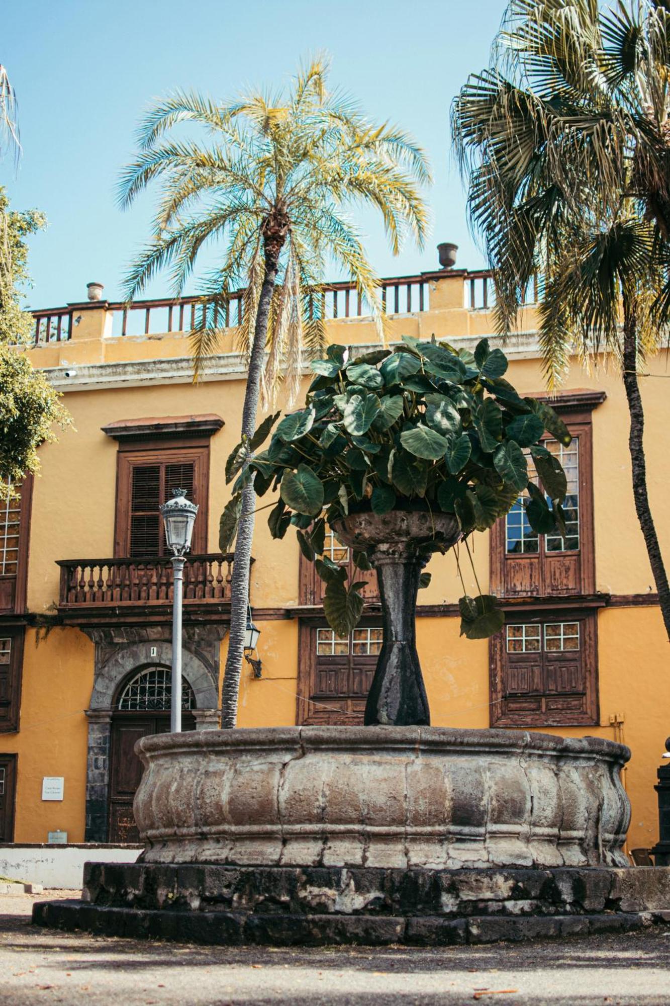 Suite 85, Villa Boutique Privada Con Piscina Icod De Los Vinos Eksteriør billede